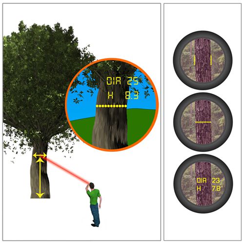 1750734174682061.jpg 4_副本.jpg